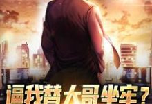 小说《逼我替大哥坐牢?事后当我拖油瓶》在线章节阅读-红梅文学