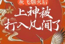 完结版《灰飞烟灭后,上神被打入凡间了》在线免费阅读-红梅文学