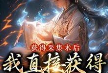 寻找获得采集术后,我直接获得满级功法小说的最新更新章节-红梅文学
