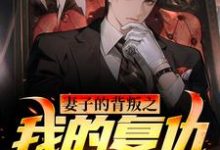 妻子的背叛之我的复仇A计划小说，妻子的背叛之我的复仇A计划章节在线阅读-红梅文学