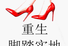 重生脚踏实地小说，重生脚踏实地在线阅读-红梅文学