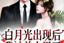 求推荐可以免费阅读白月光出现后，我被前夫甩了小说的网站-红梅文学