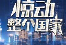 我一通电话,惊动整个国家小说,我一通电话,惊动整个国家免费阅读-红梅文学