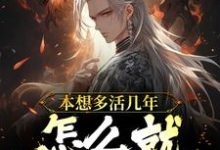 本想多活几年,怎么就成道祖了?陈林,本想多活几年,怎么就成道祖了?在线无弹窗阅读-红梅文学