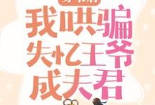 穿书后,我哄骗失忆王爷成夫君这本小说在哪里可以看?哪里有免费试读章节?-红梅文学