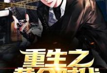 重生之黄金时代小说有没有完整的免费版本在线阅读?-红梅文学