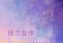 完结版《暗恋暂停，开始恋爱》在线免费阅读-红梅文学