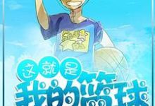 这就是我的篮球小说有没有完结版在线？-红梅文学