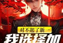 对不起了新一,我选择加入黑组织小说全文哪里可以免费看?-红梅文学