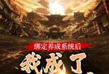 绑定养成系统后,我成了无上神帝叶辰洛清梦,绑定养成系统后,我成了无上神帝小说免费阅读-红梅文学