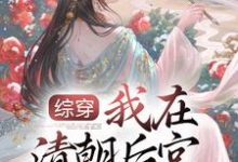 完结版《综穿:我在清朝后宫当娘娘》章节阅读-红梅文学
