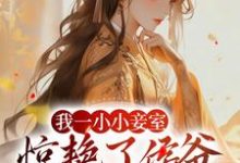 求我一小小妾室，惊艳了侯爷很合理吧小说的全文免费阅读链接-红梅文学