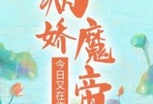 萧婳笙谈恹小说完结版在线阅读,病娇魔帝今日又在作了免费看-红梅文学