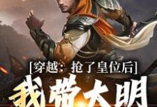 穿越:抢了皇位后,我带大明起飞小说,穿越:抢了皇位后,我带大明起飞免费阅读-红梅文学