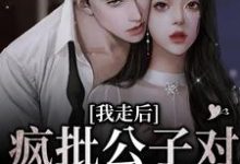 我走后,疯批公子对我相思入骨这本小说完结了吗?免费查看最新章节-红梅文学