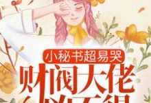 已完结小说《小秘书超易哭,财阀大佬凶不得!》章节免费阅读-红梅文学