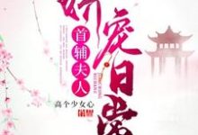 首辅夫人娇宠日常苏念念陆寒川,首辅夫人娇宠日常在线无弹窗阅读-红梅文学