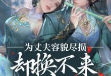 为丈夫容貌尽损，却换不来他的爱意小说无弹窗阅读的网站推荐-红梅文学