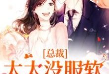 在线免费阅读总裁,太太没服软还闹离婚完整小说-红梅文学