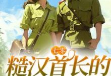 宋声声傅城小说《七零:糙汉首长的疯批小娇妻》在线阅读-红梅文学