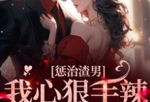 惩治渣男,我心狠手辣不过分吧沈青尔秦也小说免费阅读-红梅文学