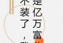 完结版《不装了,我是亿万富翁》章节目录在线阅读-红梅文学