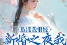 造谣我恨嫁?新婚之夜我火烧你府院小说的免费电子版在哪里可以下载或阅读?-红梅文学