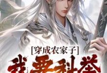 穿成农家子，我要科举当人上人小说的免费阅读版本在哪里可以找到？-红梅文学