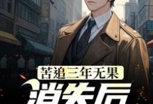 苦追三年无果,消失后,她却疯了章节免费在线阅读,江阳苏清妍完结版-红梅文学