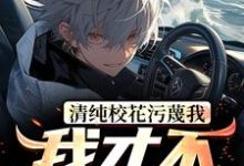 完结版《清纯校花污蔑我，我才不救人了》在线免费阅读-红梅文学