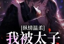 《纵情温柔,我被太子爷骗婚》小说南晚霍阑川章节章节免费在线阅读-红梅文学