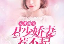 《天才萌宝:君少娇妻惹不起》小说章节列表免费试读,沈洛洛君昊小说在线阅读-红梅文学