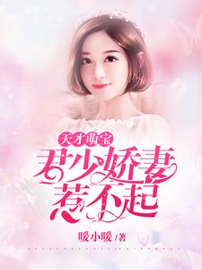《天才萌宝：君少娇妻惹不起》小说章节列表免费试读，沈洛洛君昊小说在线阅读