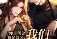 你是颠婆,我是颠公,我们喜结良缘阮七七陆野小说大结局免费试读-红梅文学