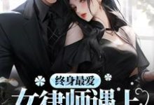 已完结小说《终身最爱:女律师遇上邪魅总裁》最新章节-红梅文学
