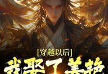 小说《穿越以后,我娶了美艳宗主当老婆》章节阅读-红梅文学