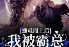 迎难而上后,我被霸总狠狠宠爱陆廷澈苏小曼,迎难而上后,我被霸总狠狠宠爱小说免费阅读-红梅文学