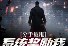 分手被甩,系统奖励我无上武魂小说,分手被甩,系统奖励我无上武魂章节在线阅读-红梅文学