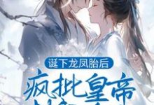 诞下龙凤胎后,疯批皇帝封我为后最新章节,诞下龙凤胎后,疯批皇帝封我为后免费阅读-红梅文学