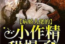 免费在线阅读病娇大佬的小作精甜爆了小说的正规网站有哪些？-红梅文学