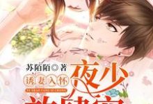 诱妻入怀：夜少，放肆宠小说的所有章节都能在哪里免费读到？-红梅文学