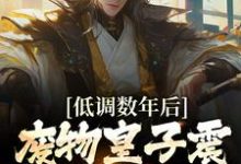 萧凌小说低调数年后，废物皇子震惊朝堂大佬在线阅读-红梅文学