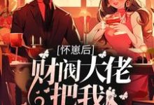 小说《怀崽后,财阀大佬把我娶回家》章节免费阅读-红梅文学