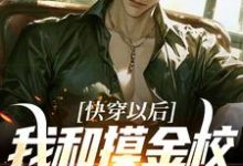 已完结小说《快穿以后,我和摸金校尉称兄道弟》在线章节阅读-红梅文学