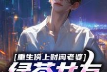 在线寻找重生傍上财阀老婆，绿茶女友悔哭小说的无删减版本-红梅文学