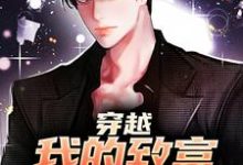 小说《穿越：我的致富之路不入刑》章节免费阅读-红梅文学