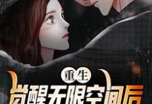 重生:觉醒无限空间后,我开始复仇这本小说完结了吗?免费查看最新章节-红梅文学