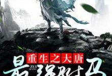 重生之大唐最强驸马房遗爱高阳秦京娘,重生之大唐最强驸马小说免费阅读-红梅文学