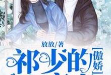 已完结小说《祁少的傲娇小蛮妻》章节在线阅读-红梅文学