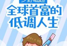 乡野崛起:全球首富的低调人生小说全文哪里可以免费看?-红梅文学